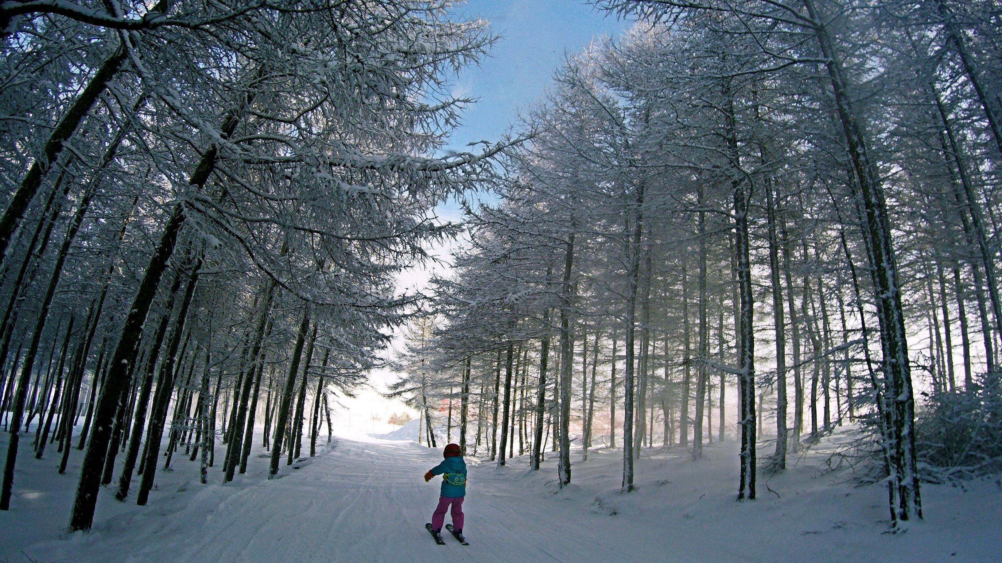 我独自在覆雪的树林雪道中滑行